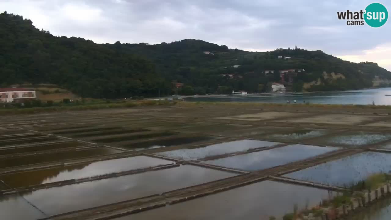 Krajinski park Strunjan