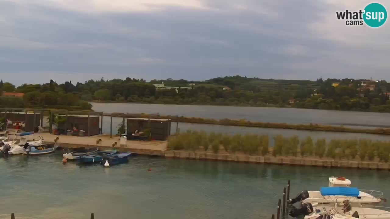 Krajinski park Strunjan v živo