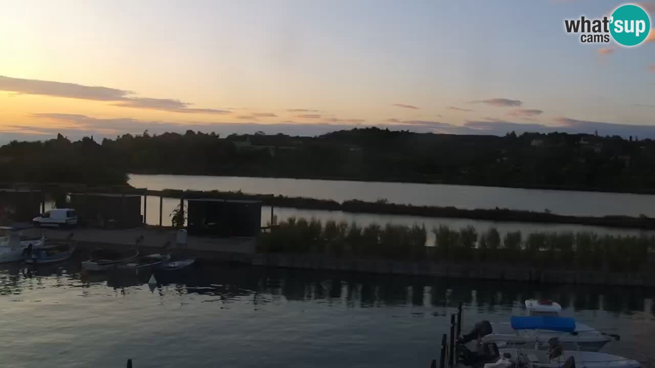Krajinski park Strunjan u živo