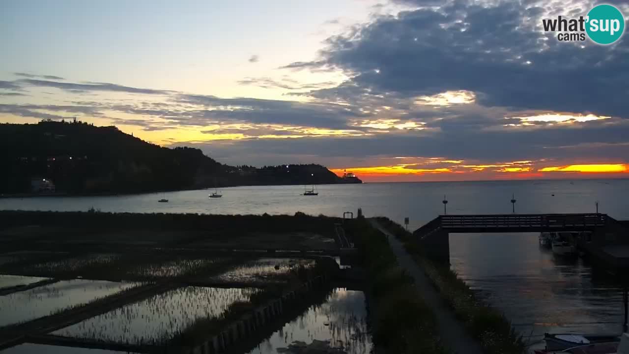 Krajinski park Strunjan