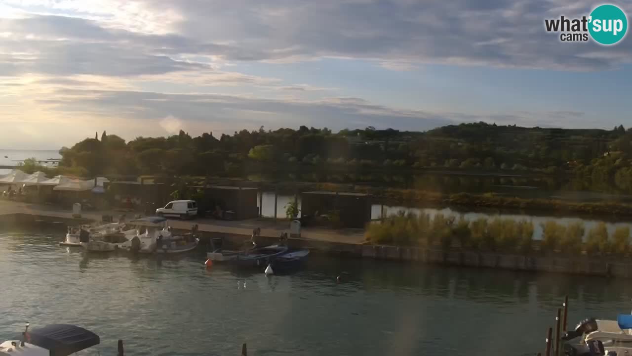 Krajinski park Strunjan u živo
