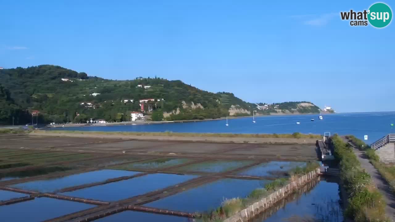 Krajinski park Strunjan