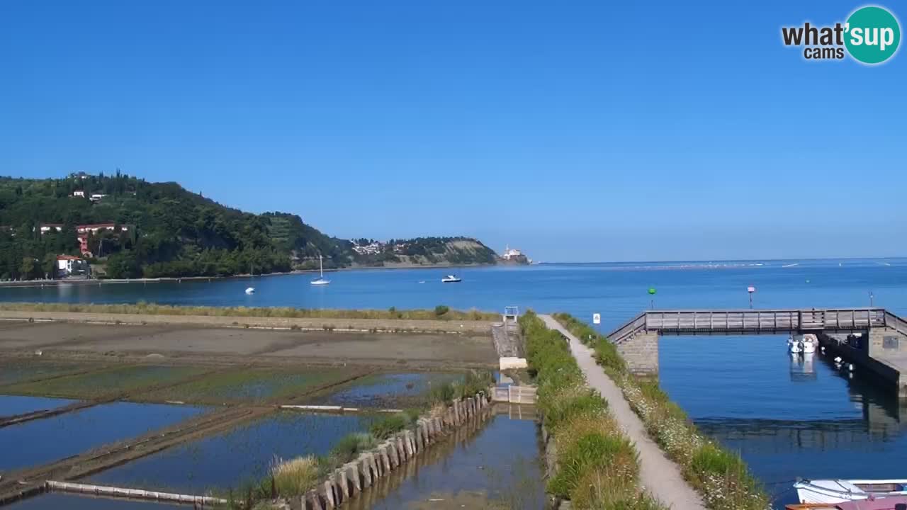 Krajinski park Strunjan