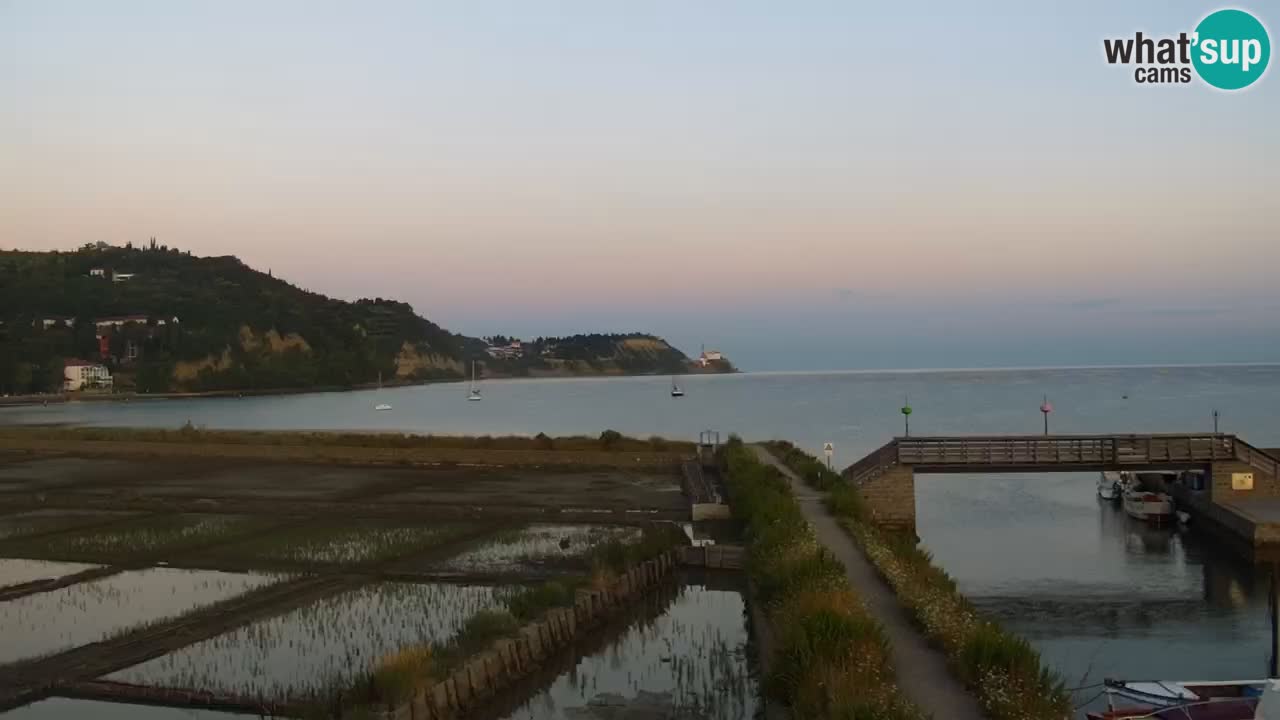 Krajinski park Strunjan v živo