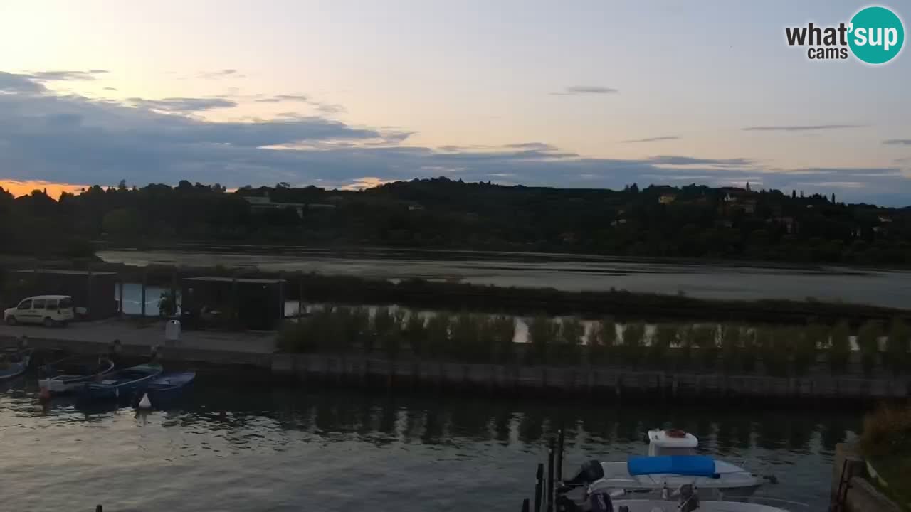 Krajinski park Strunjan v živo