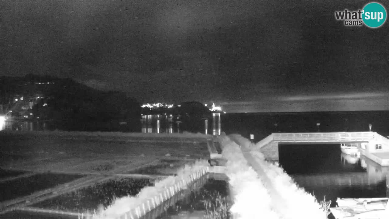 Krajinski park Strunjan u živo