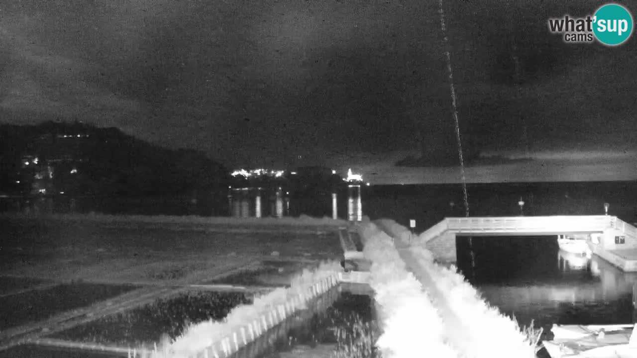 Krajinski park Strunjan