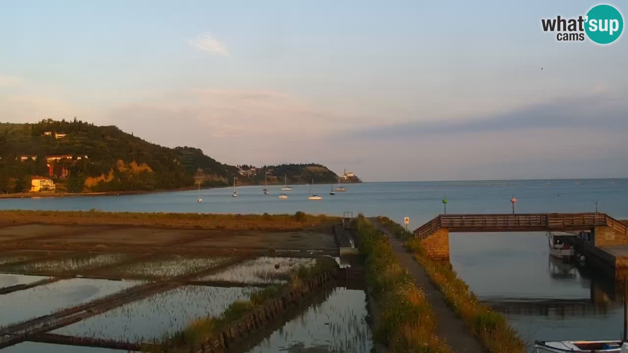 Krajinski park Strunjan