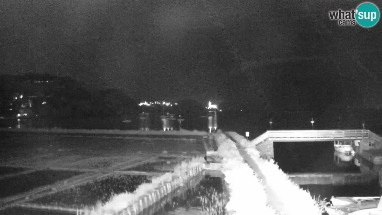 Krajinski park Strunjan