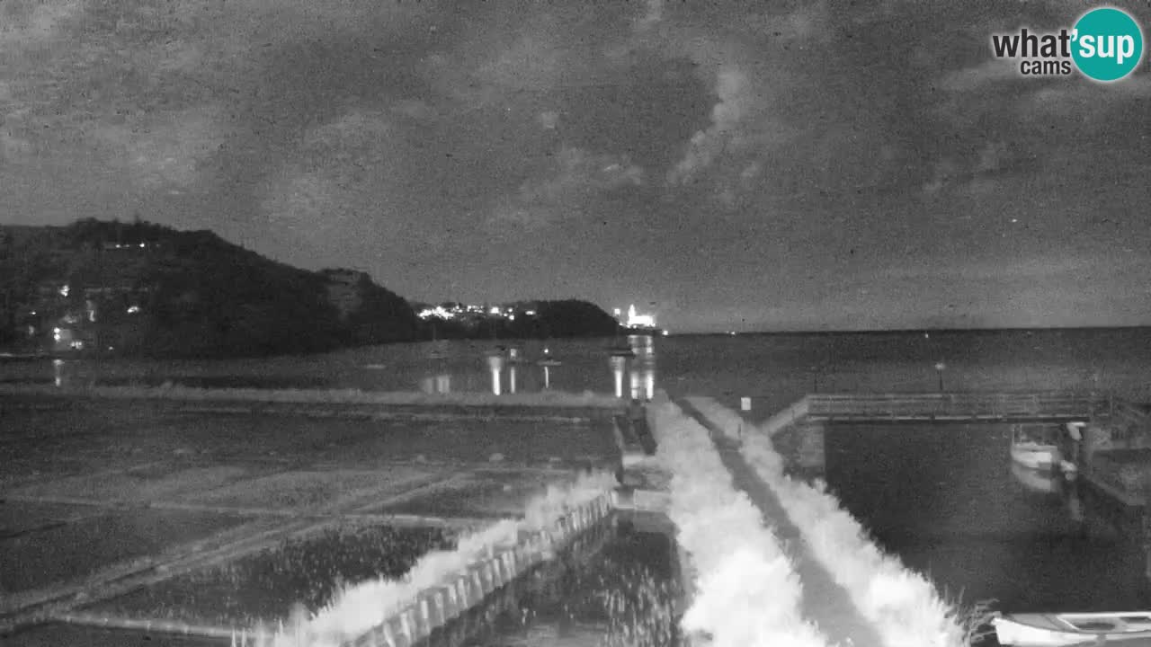 Krajinski park Strunjan u živo