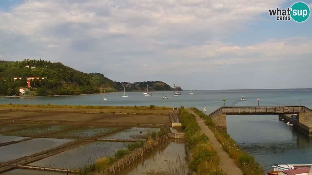 Krajinski park Strunjan