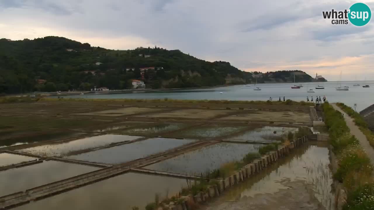 Krajinski park Strunjan