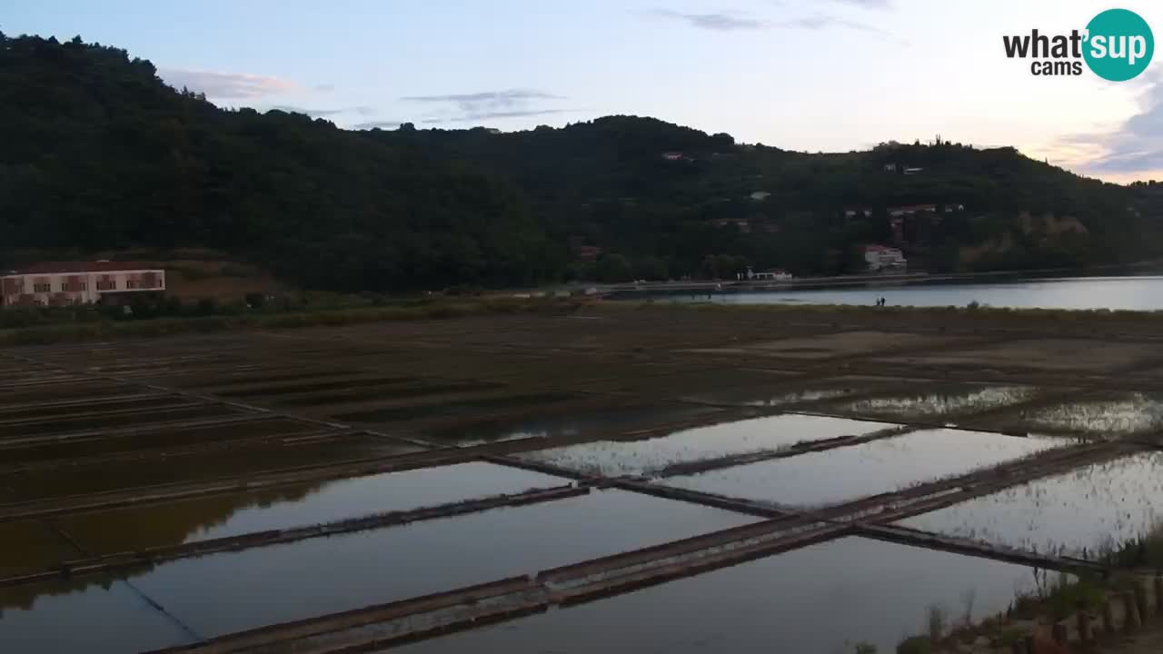 Krajinski park Strunjan