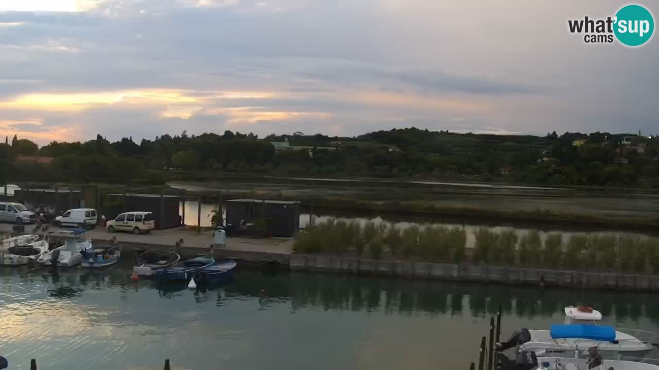 Krajinski park Strunjan u živo