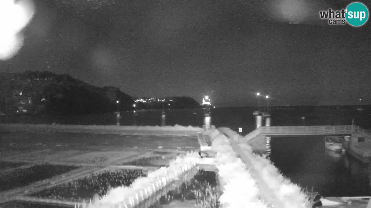 Krajinski park Strunjan
