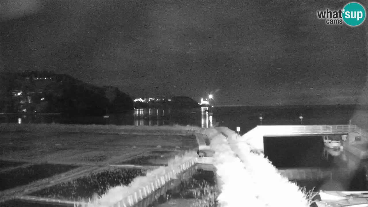 Krajinski park Strunjan