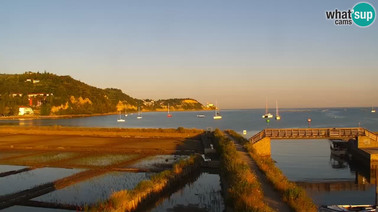 Krajinski park Strunjan v živo
