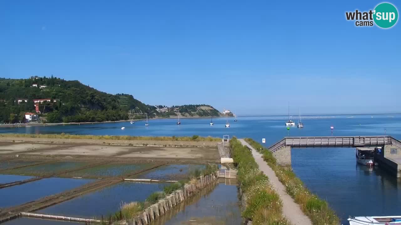 Krajinski park Strunjan