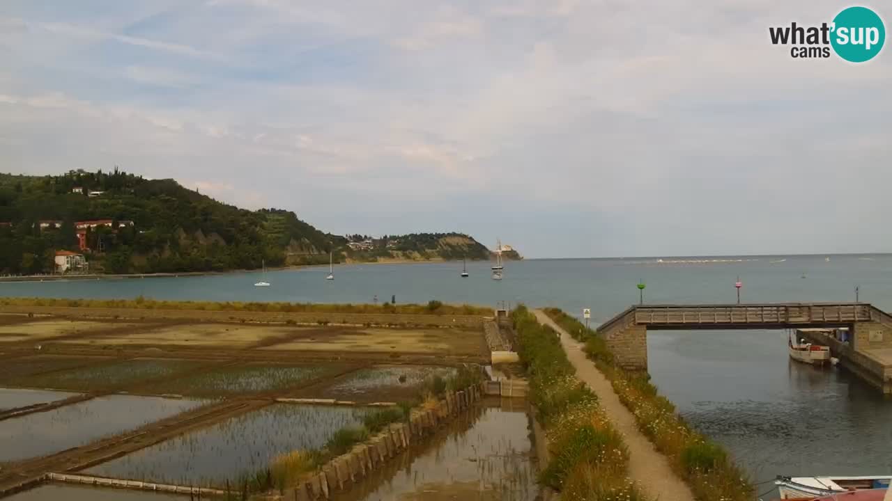 Parco naturale Strugnano