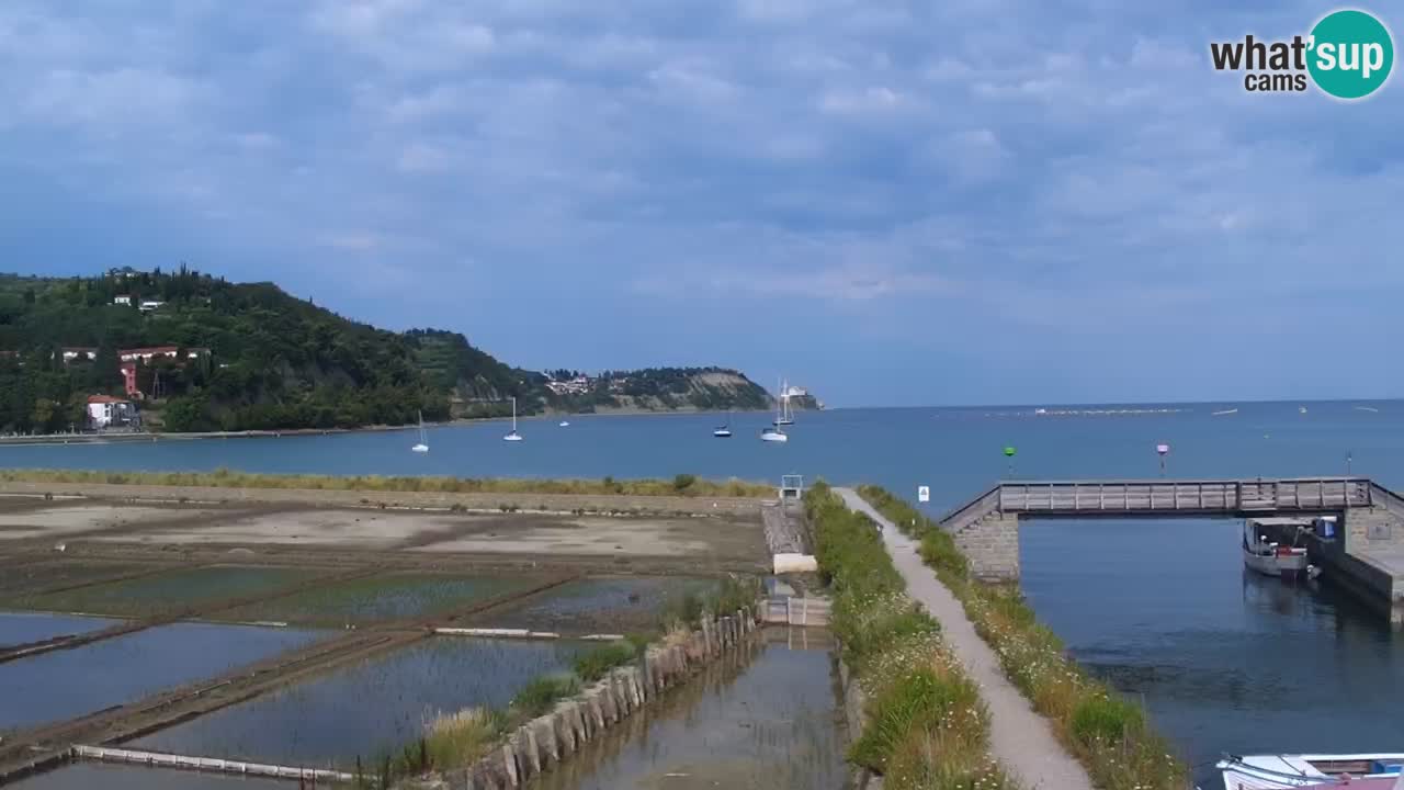 Krajinski park Strunjan