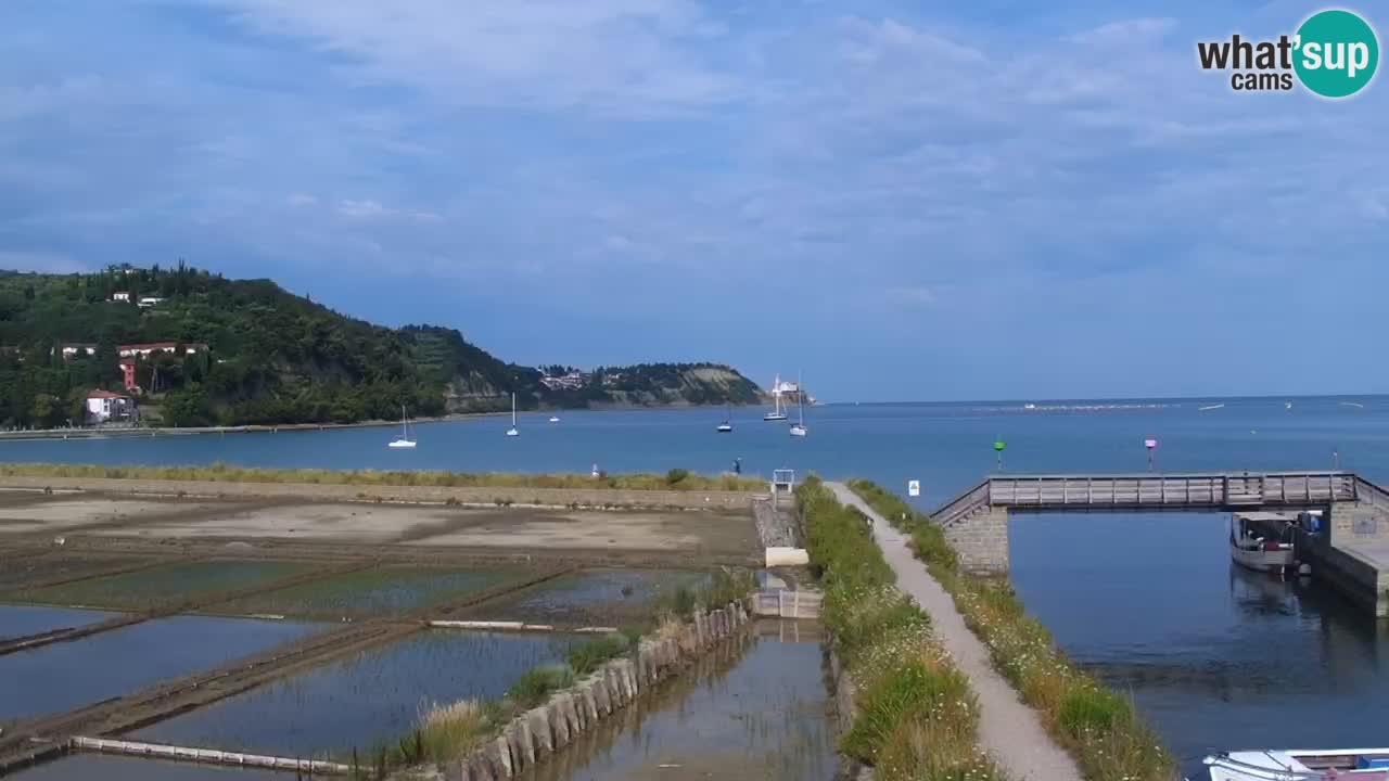 Krajinski park Strunjan