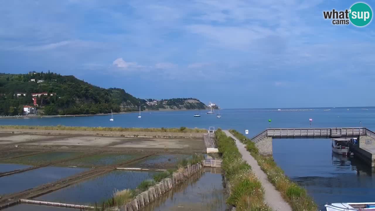 Parco naturale Strugnano
