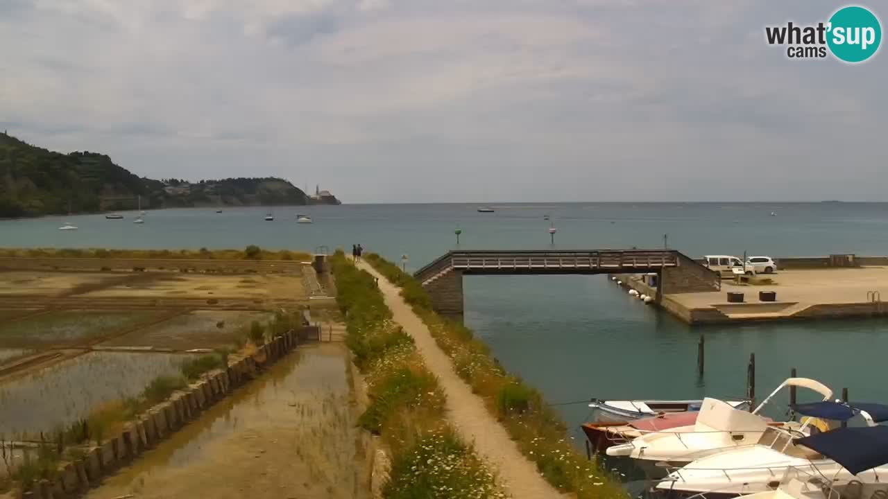 Krajinski park Strunjan