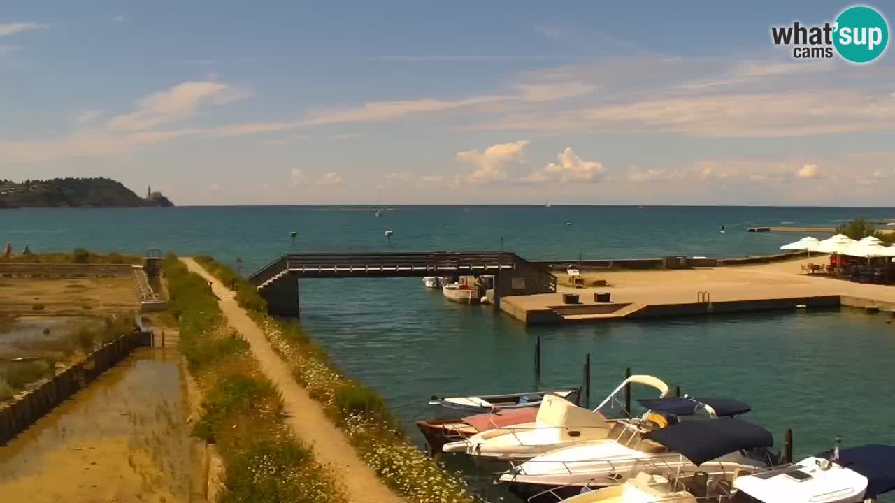 Krajinski park Strunjan
