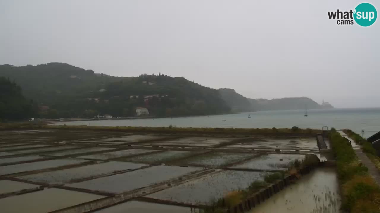 Krajinski park Strunjan