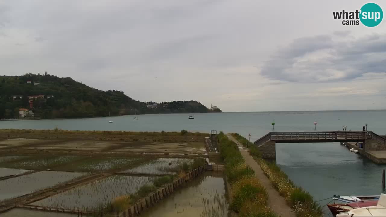 Parco naturale Strugnano
