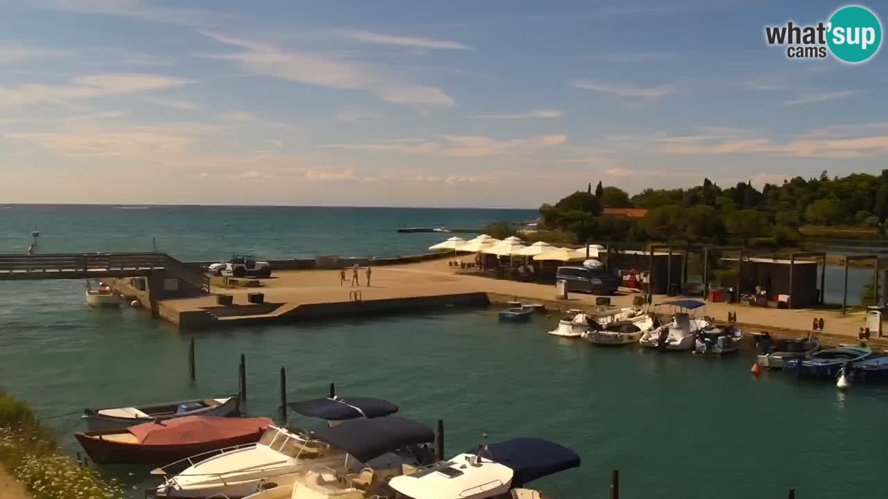 Krajinski park Strunjan u živo