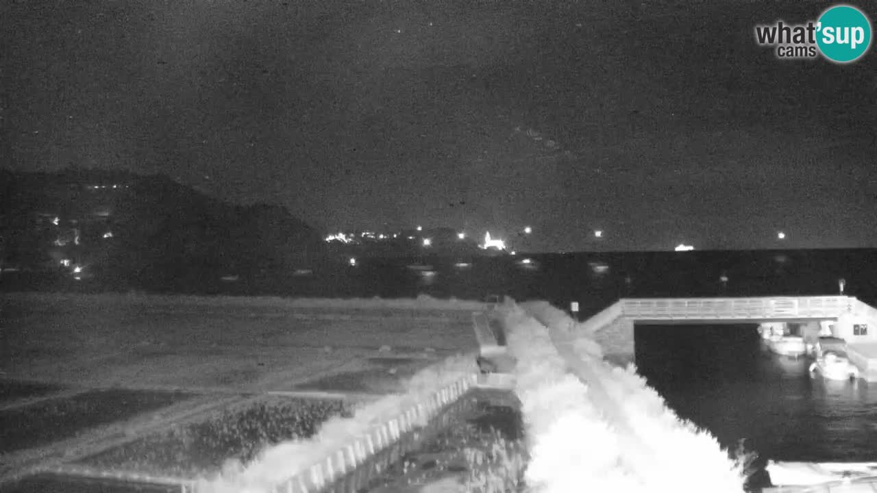 Krajinski park Strunjan v živo