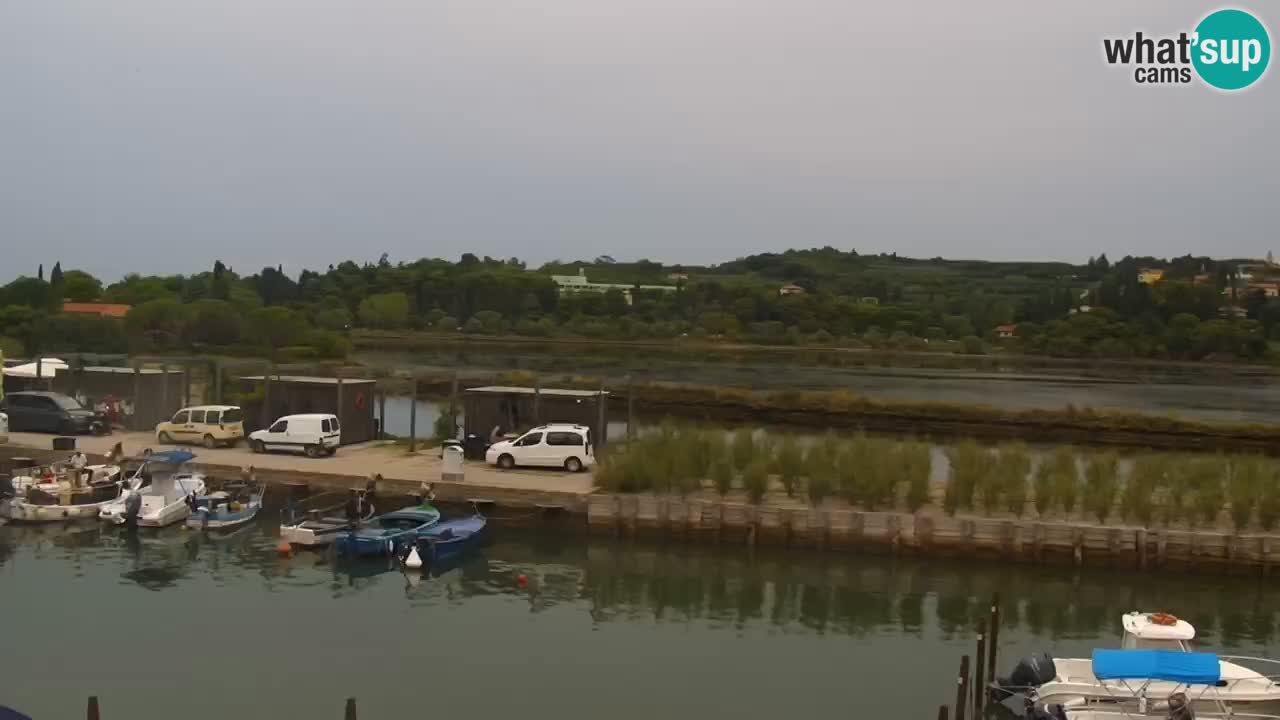 Krajinski park Strunjan