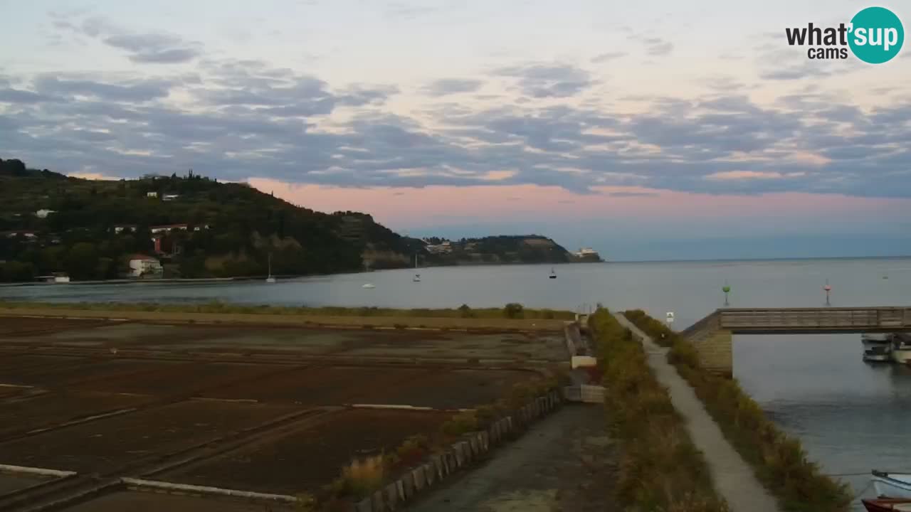 Krajinski park Strunjan