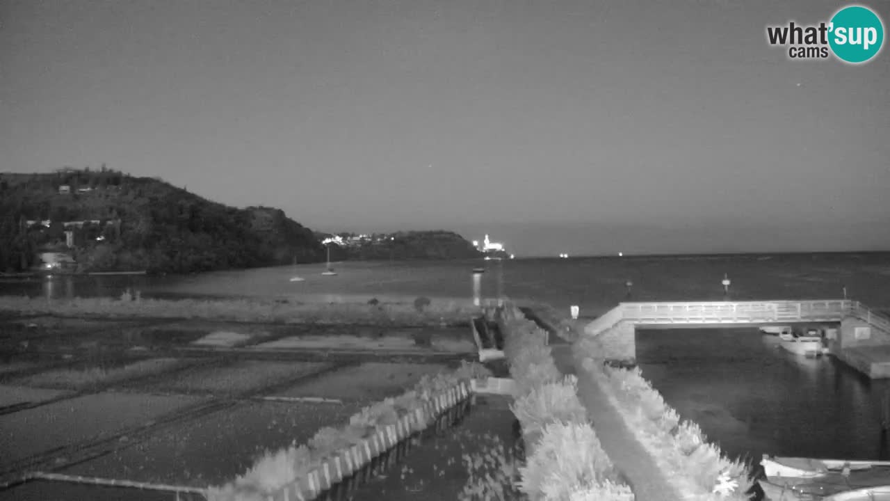 Krajinski park Strunjan u živo