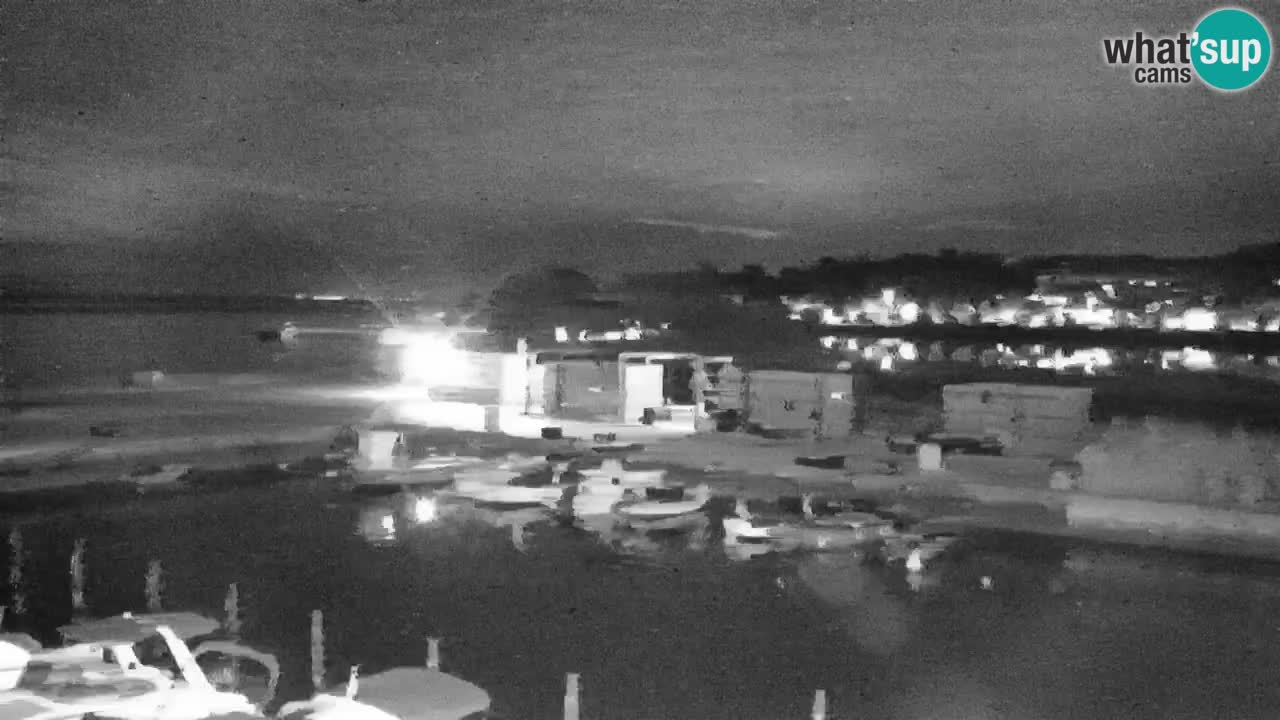 Krajinski park Strunjan v živo