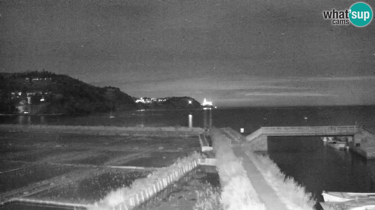 Krajinski park Strunjan