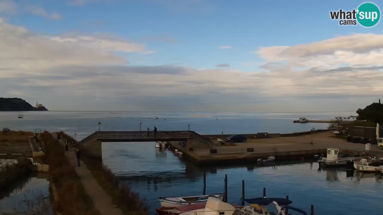 Krajinski park Strunjan