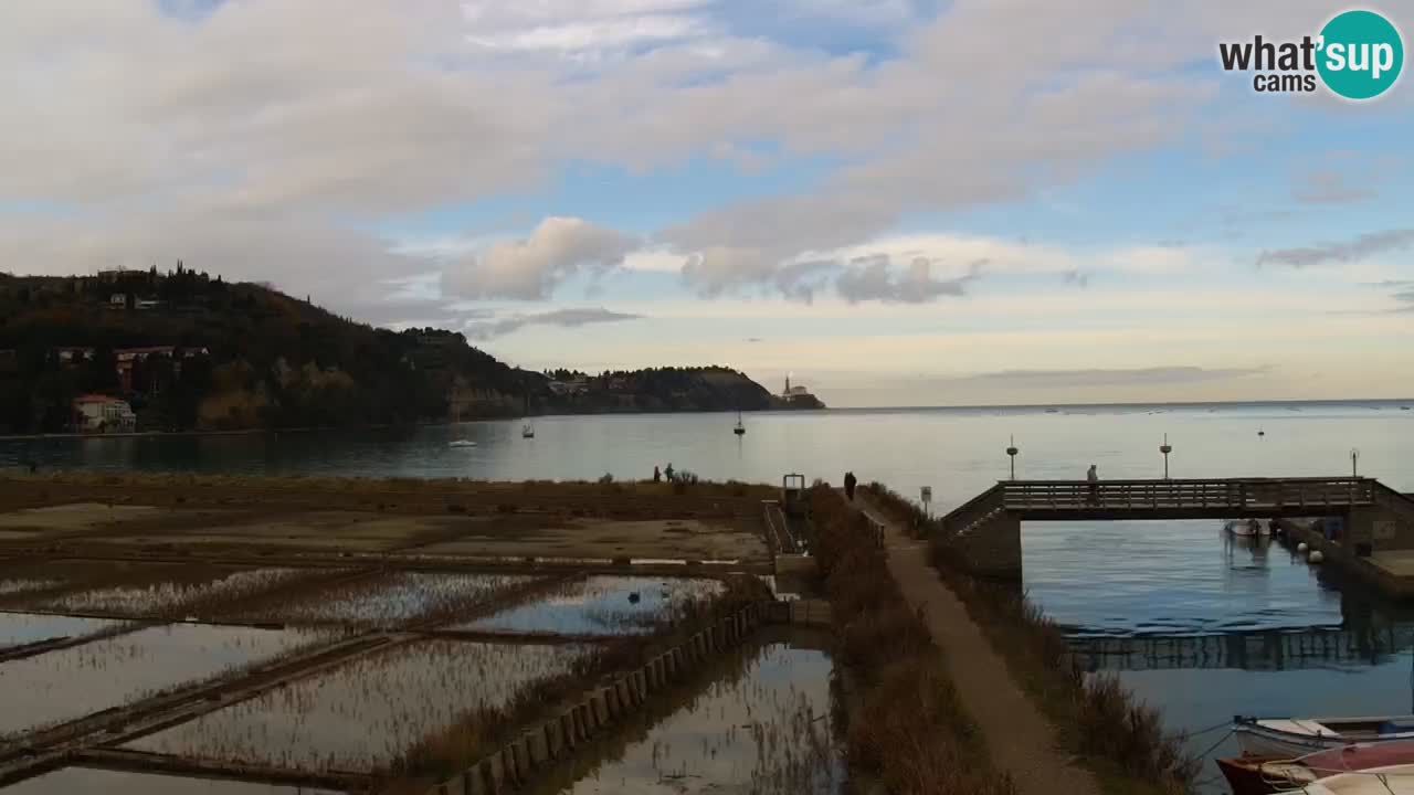 Krajinski park Strunjan