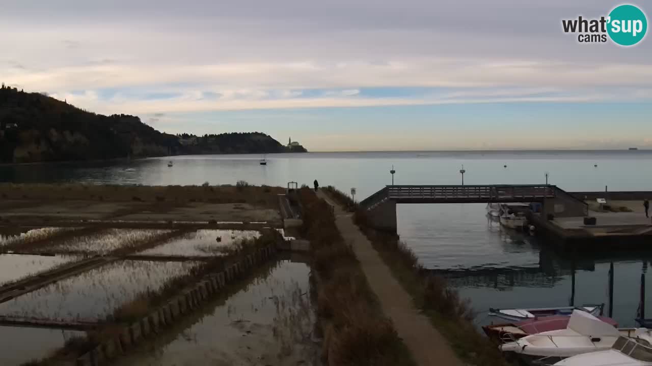 Krajinski park Strunjan