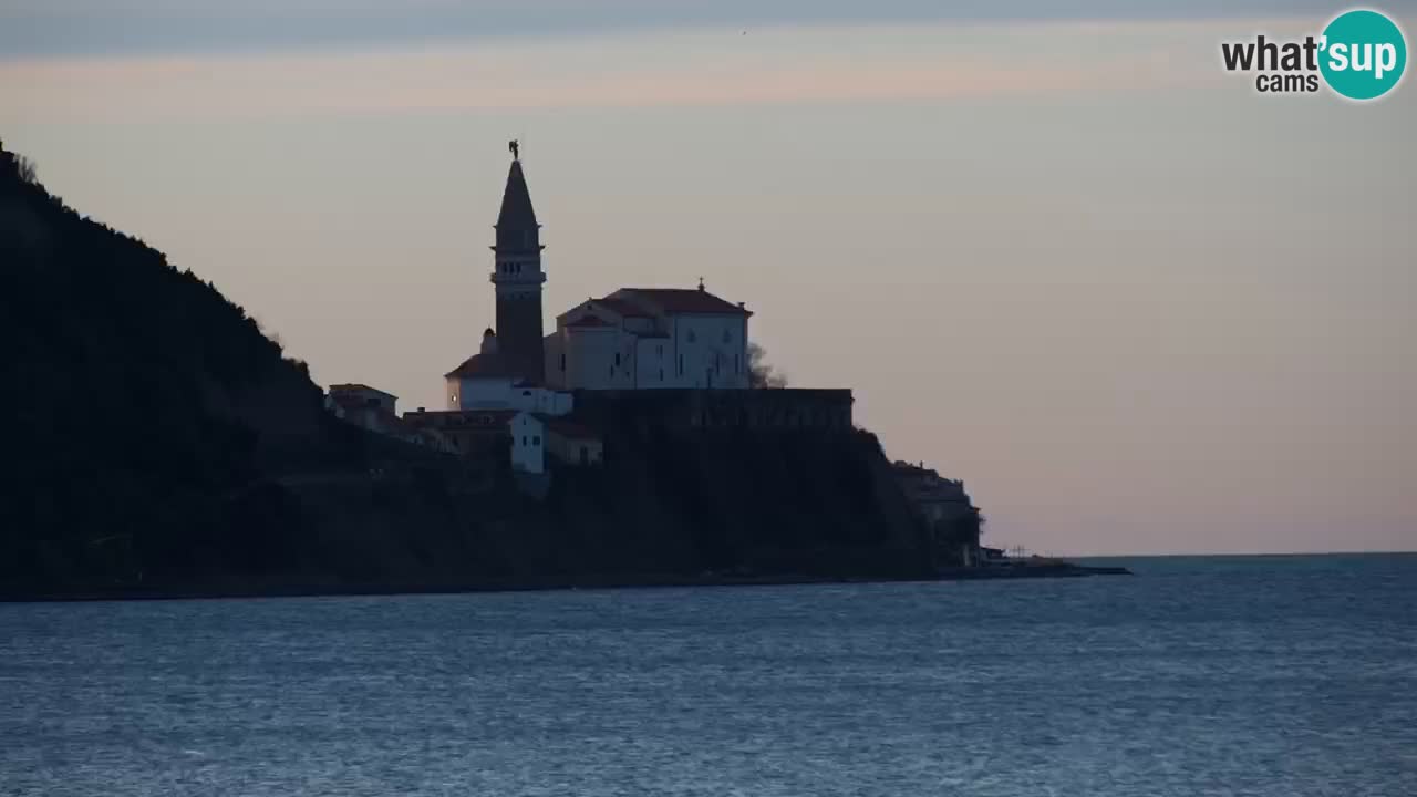 Krajinski park Strunjan u živo