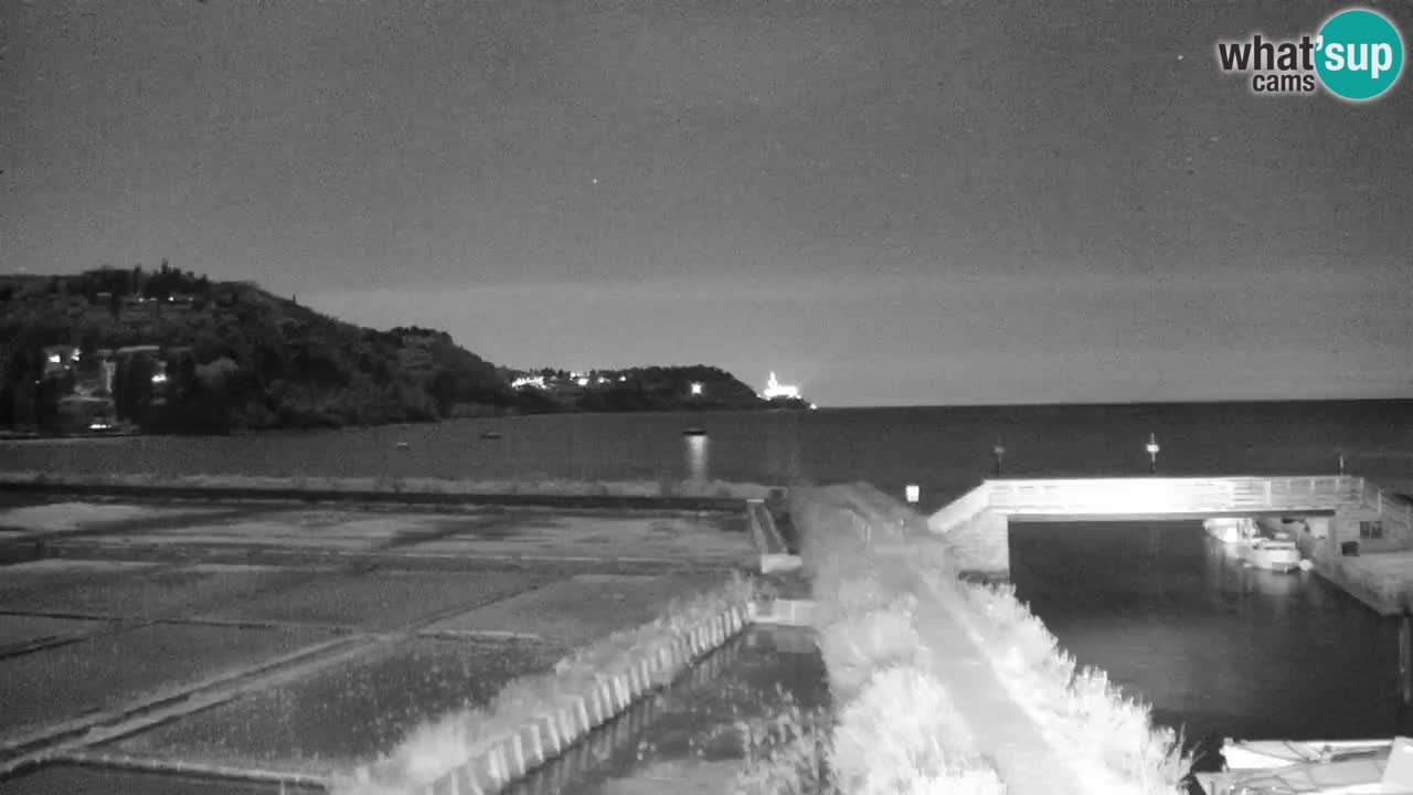 Krajinski park Strunjan