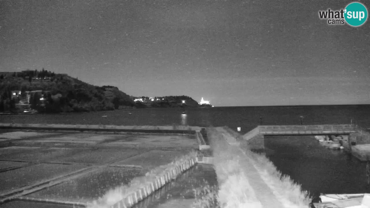 Krajinski park Strunjan