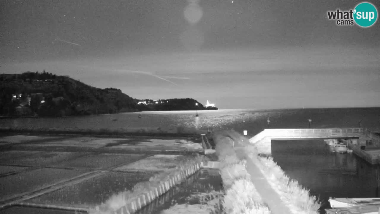 Krajinski park Strunjan u živo