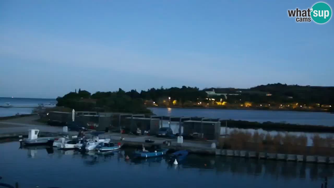 Krajinski park Strunjan v živo