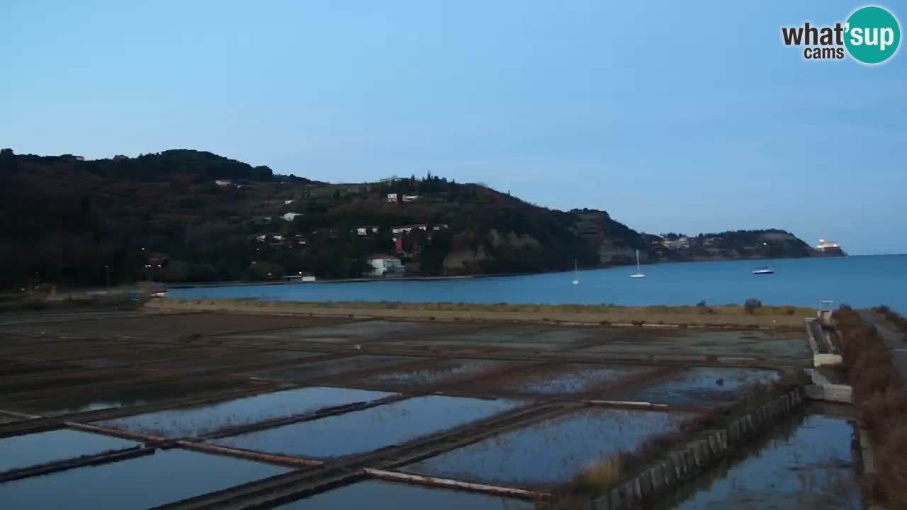 Krajinski park Strunjan