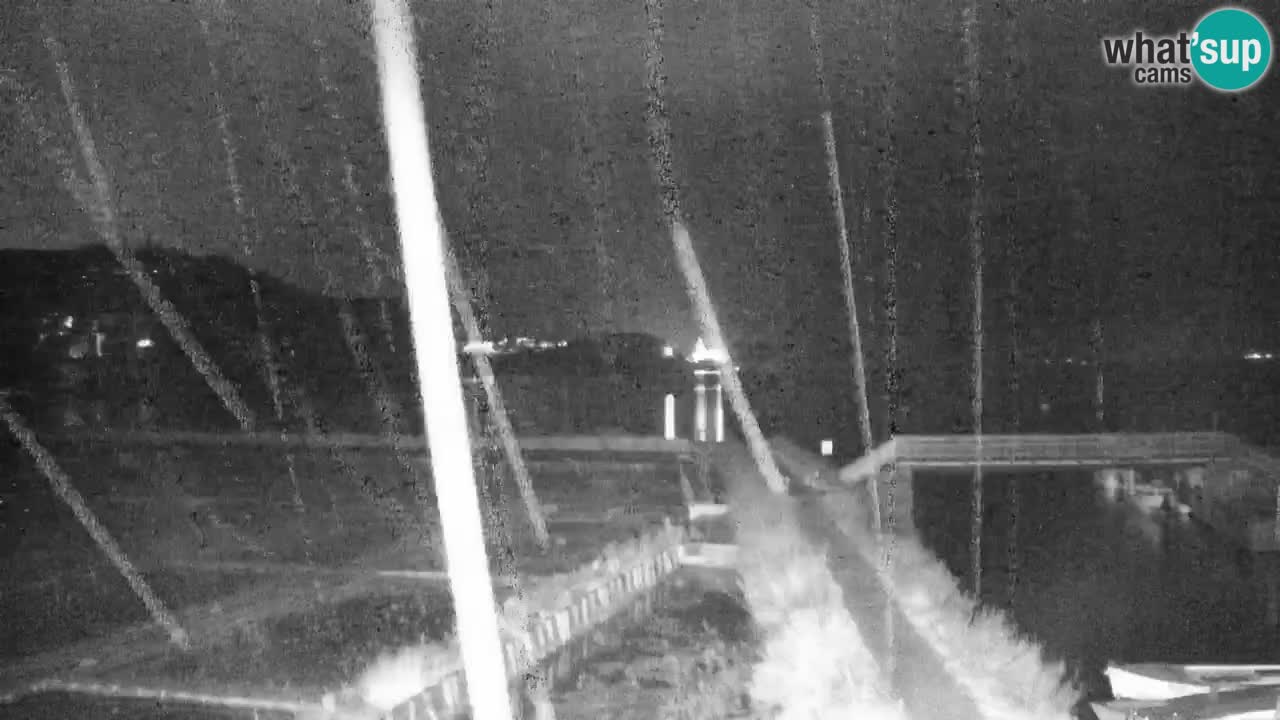 Krajinski park Strunjan v živo