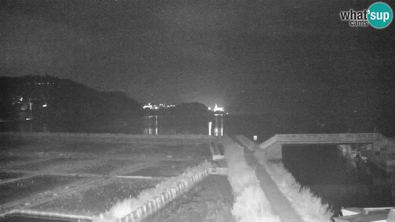 Krajinski park Strunjan u živo