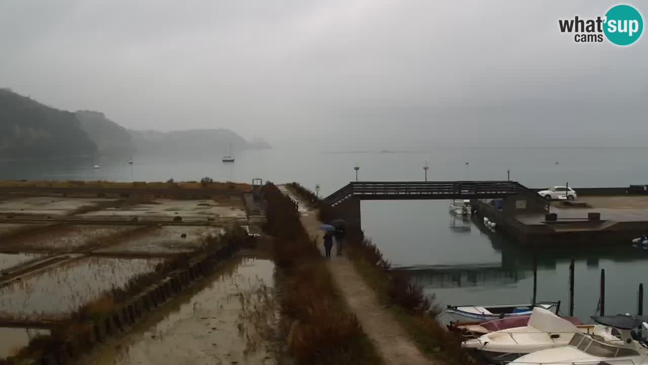 Krajinski park Strunjan