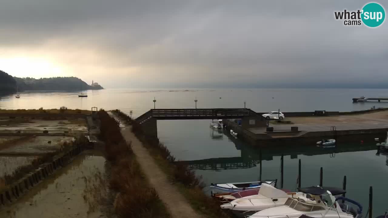 Krajinski park Strunjan